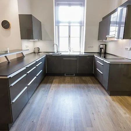 Apartment Vladislav City Centre *
