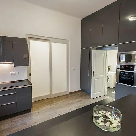 Vladislav City Centre Apartment *