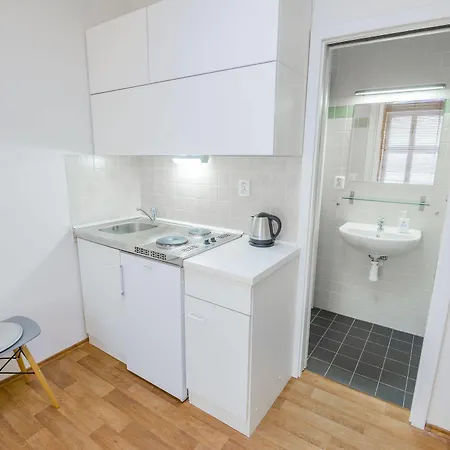 Vladislav City Centre Apartment Prague
