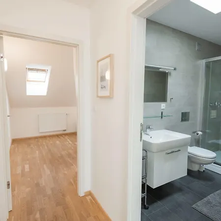 Apartment Vladislav City Centre *